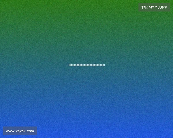 街头篮球的热潮与文化探索:从街头到赛场的变革与影响